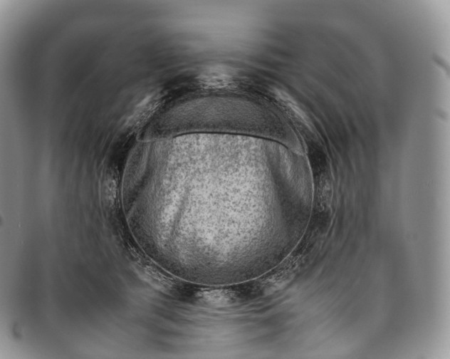 X0000094800417200711301543
