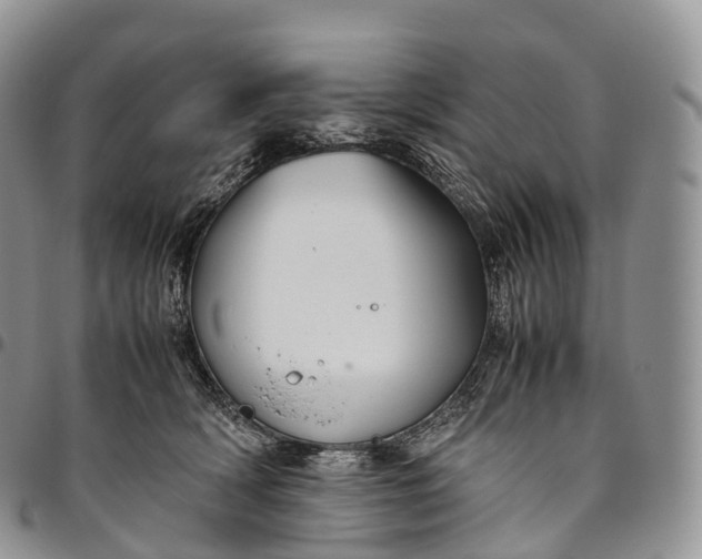 X0000094800418200711301543