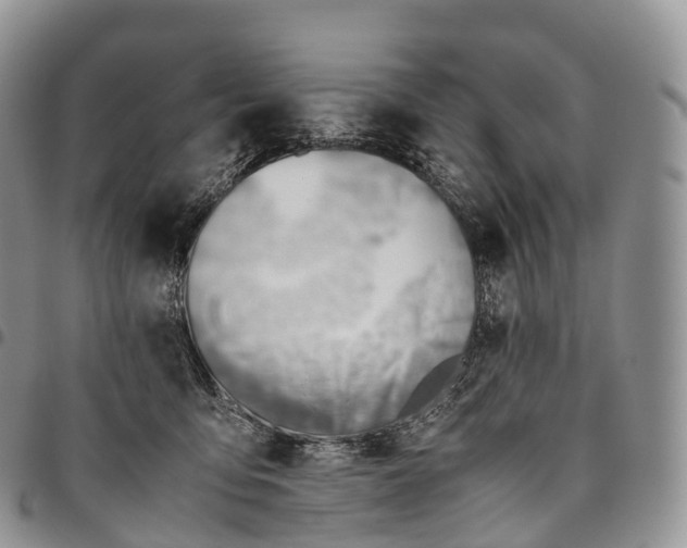 X0000094800419200711301543
