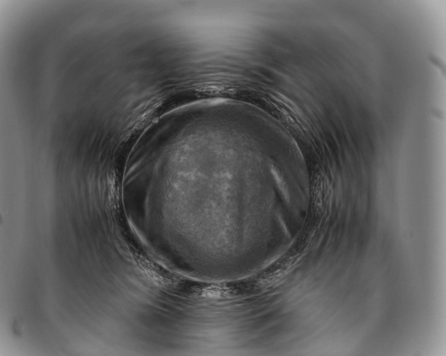 X0000094800420200711301543
