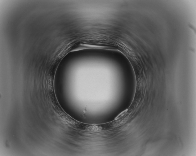 X0000094800421200711301543