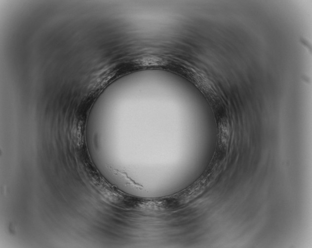 X0000094800422200711301543