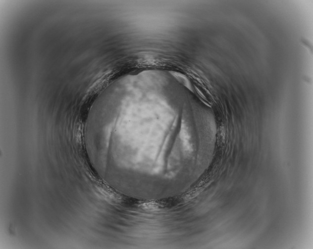 X0000094800423200711301543