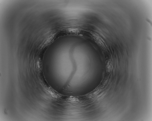 X0000094800424200711301543