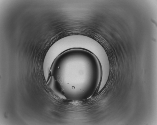 X0000094800425200711301543