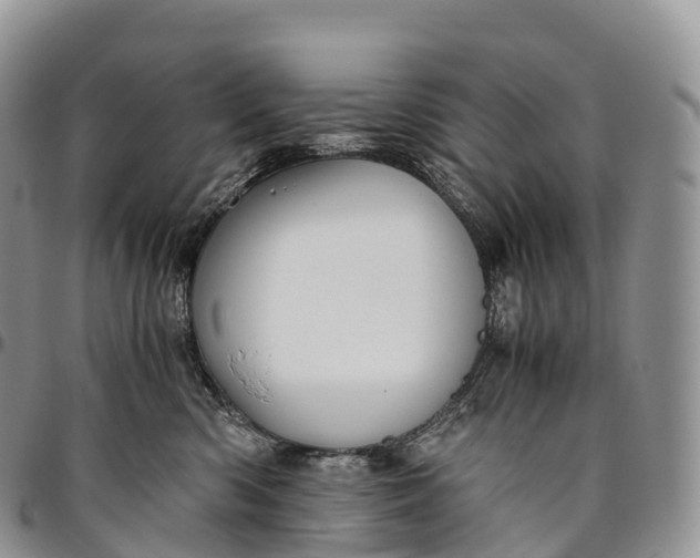X0000094800426200711301543