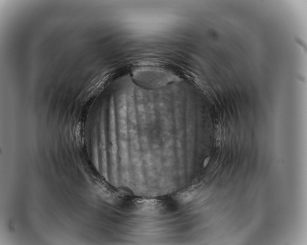 X0000094800428200711301543
