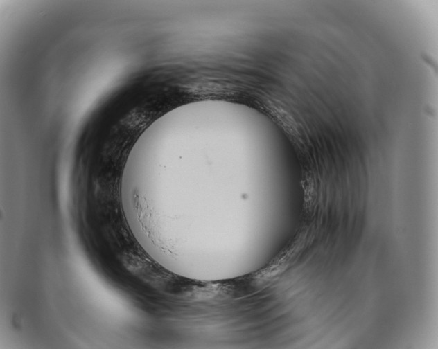 X0000094800430200711301543