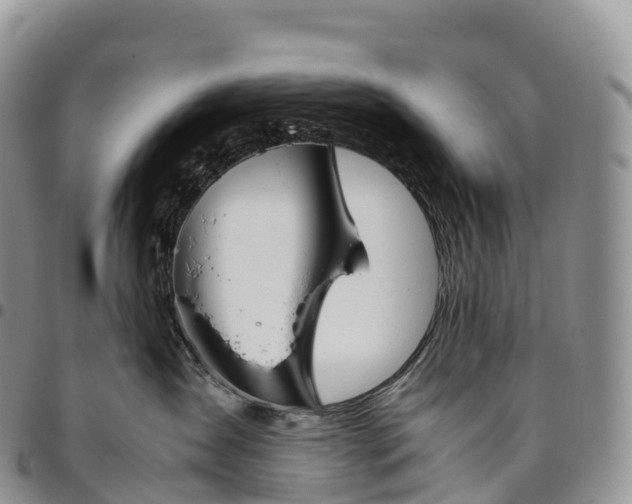 X0000094800431200711301543