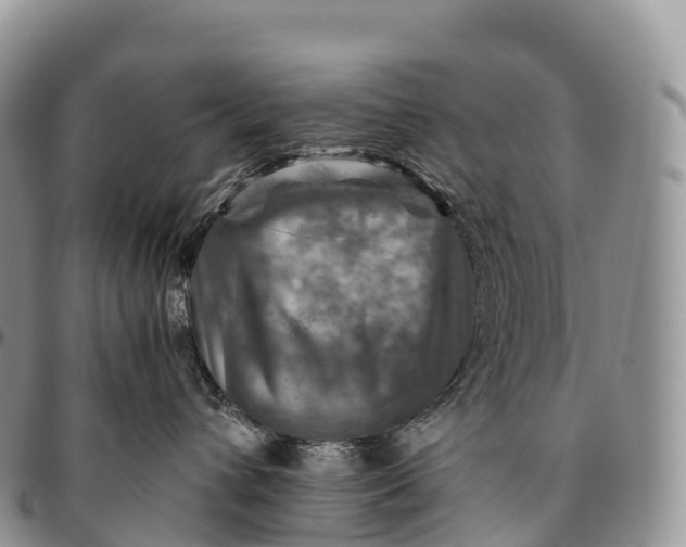 X0000094800432200711301543