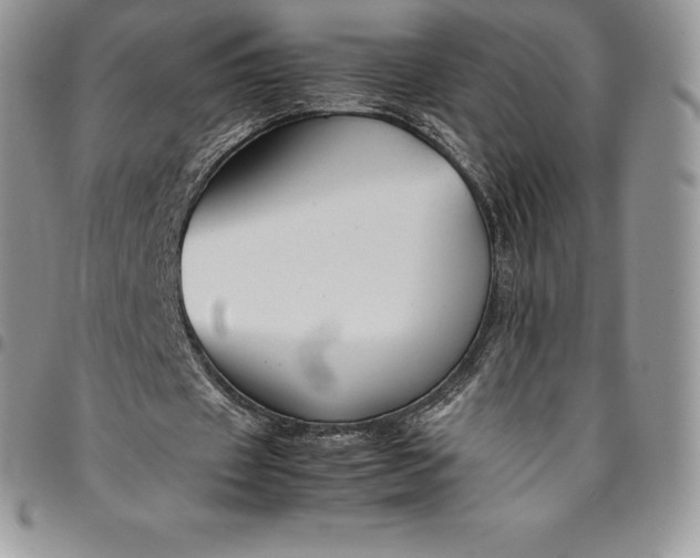 X0000094800433200711301542