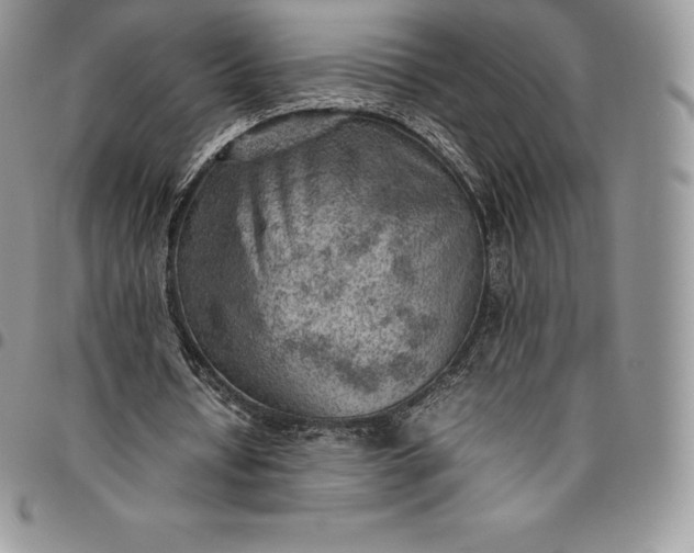 X0000094800434200711301542