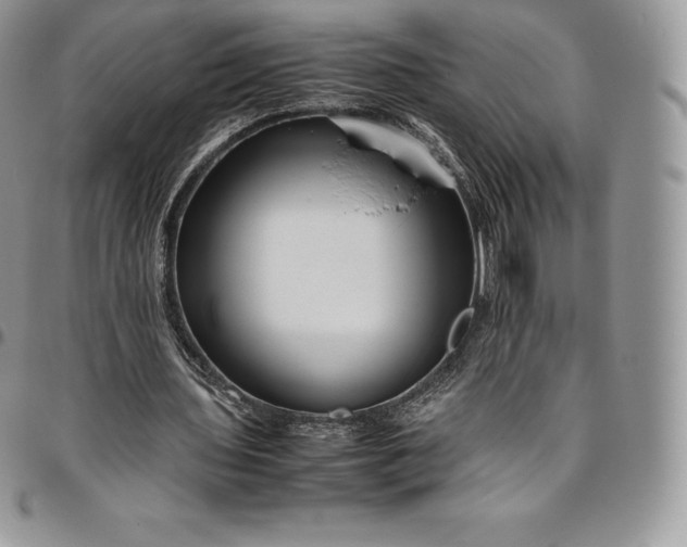 X0000094800435200711301542