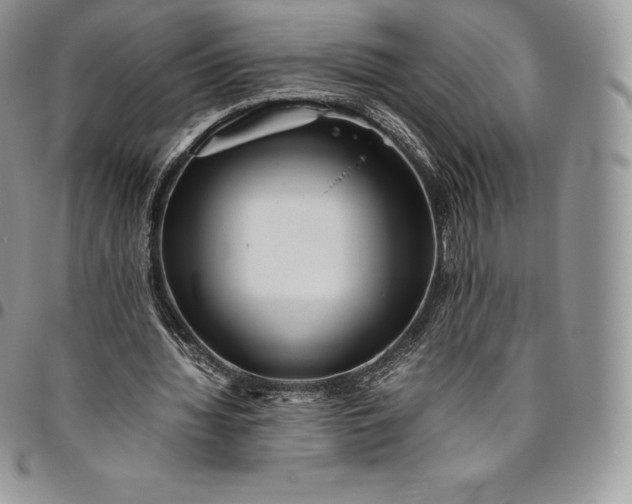X0000094800436200711301542