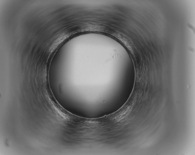X0000094800437200711301542