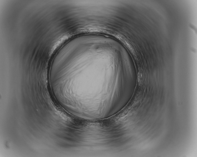 X0000094800438200711301542
