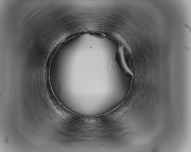 X0000094800439200711301542
