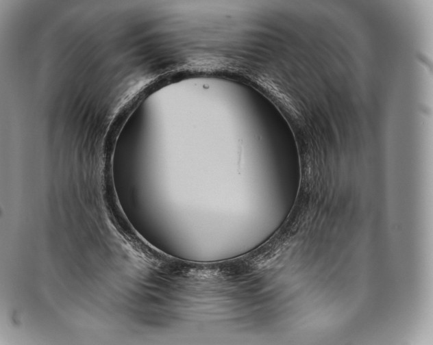 X0000094800440200711301542