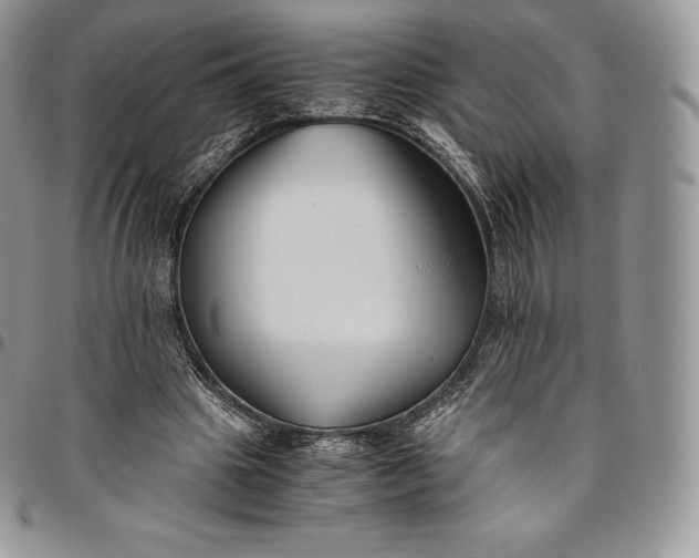 X0000094800441200711301542