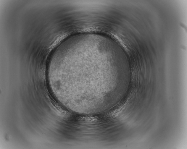 X0000094800443200711301543
