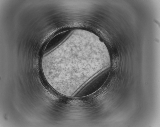 X0000094800444200711301543