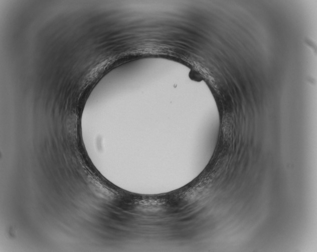 X0000094800445200711301543