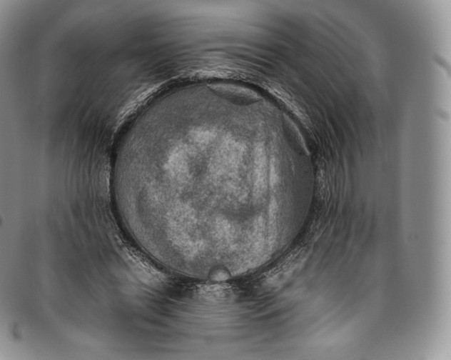 X0000094800446200711301543