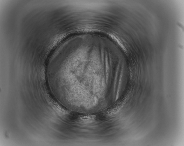 X0000094800447200711301543