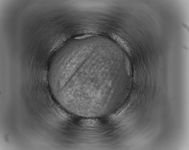 X0000094800449200711301543