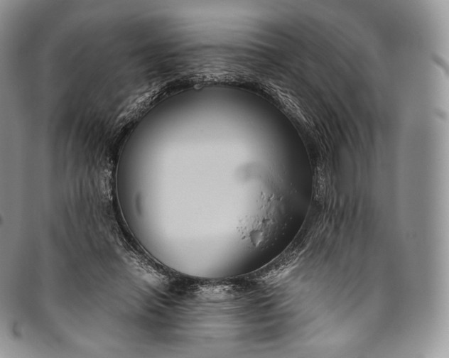 X0000094800450200711301543