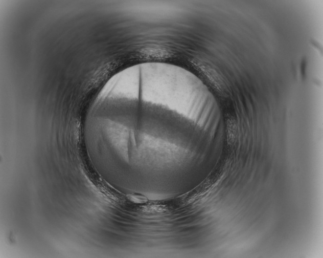 X0000094800451200711301543