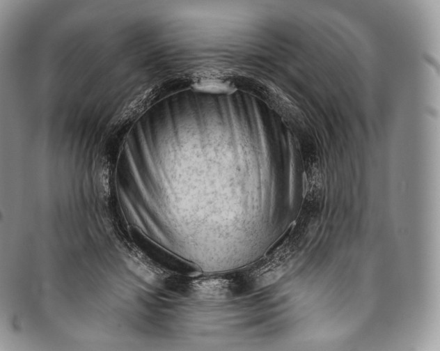 X0000094800452200711301543