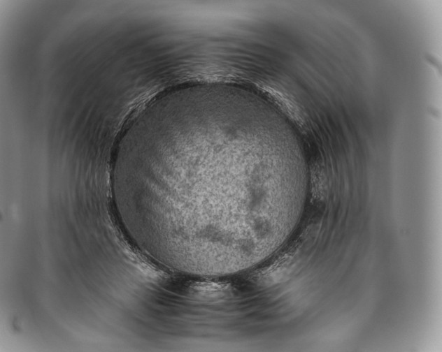 X0000094800453200711301543