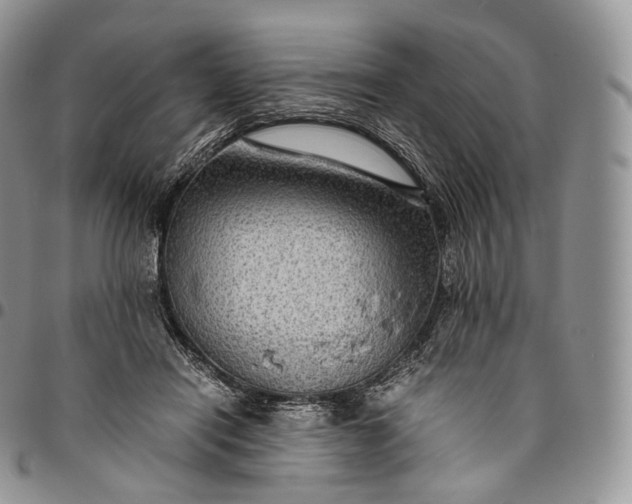 X0000094800454200711301543