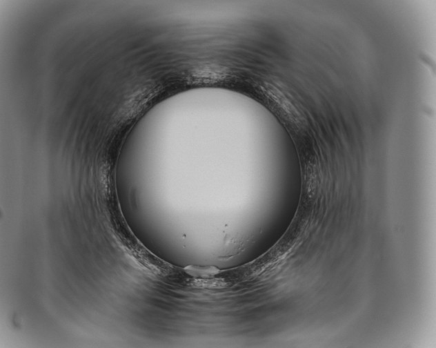 X0000094800455200711301543