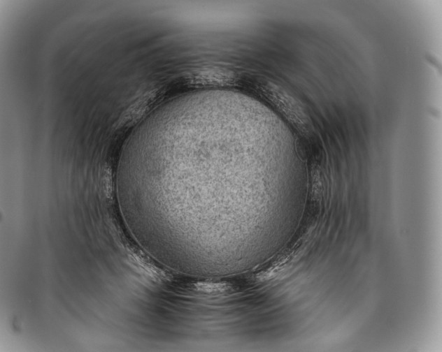 X0000094800457200711301543