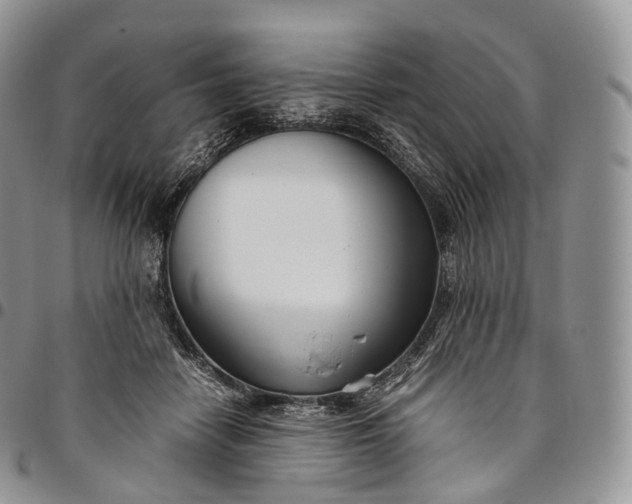 X0000094800458200711301543