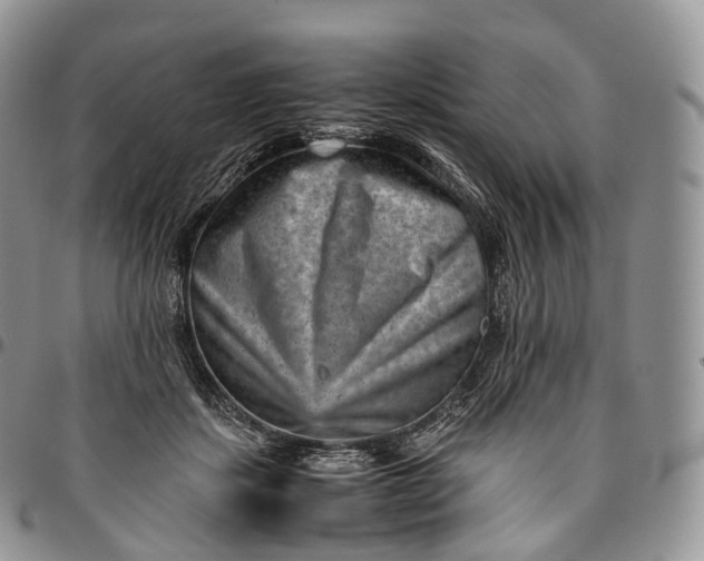 X0000094800459200711301543