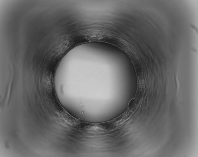 X0000094800460200711301543