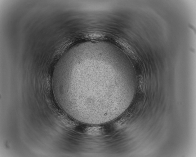 X0000094800461200711301543