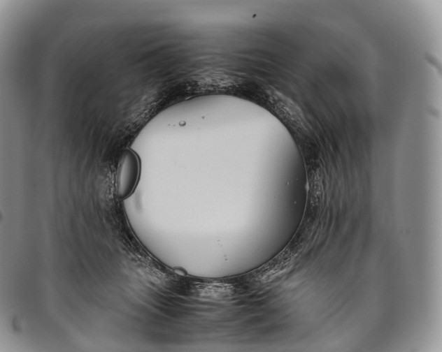 X0000094800463200711301543