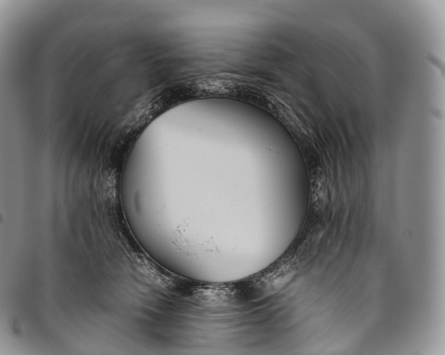 X0000094800466200711301543