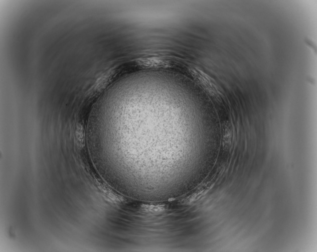 X0000094800469200711301543