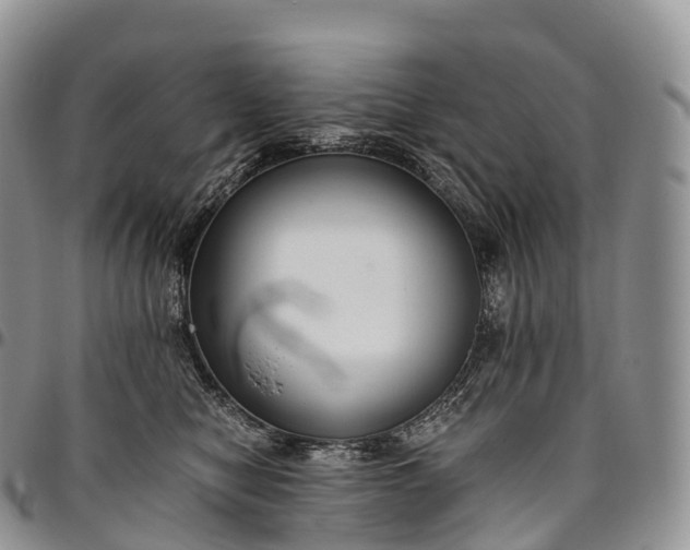 X0000094800470200711301543