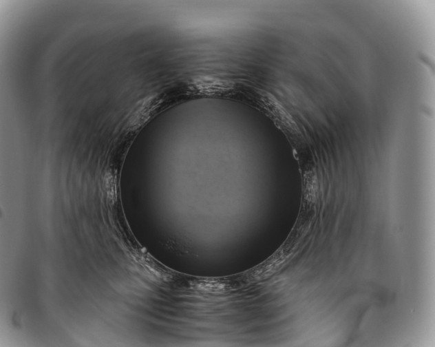 X0000094800471200711301543