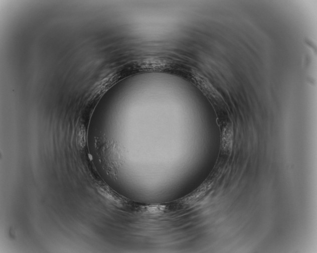 X0000094800474200711301543