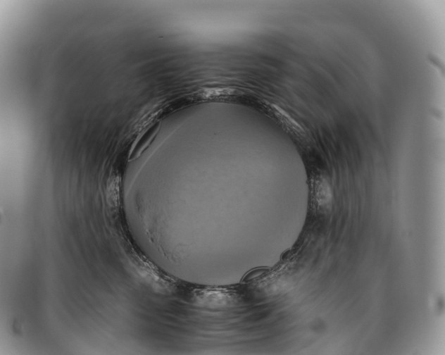 X0000094800475200711301543