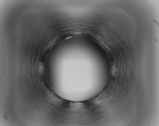 X0000094800476200711301543
