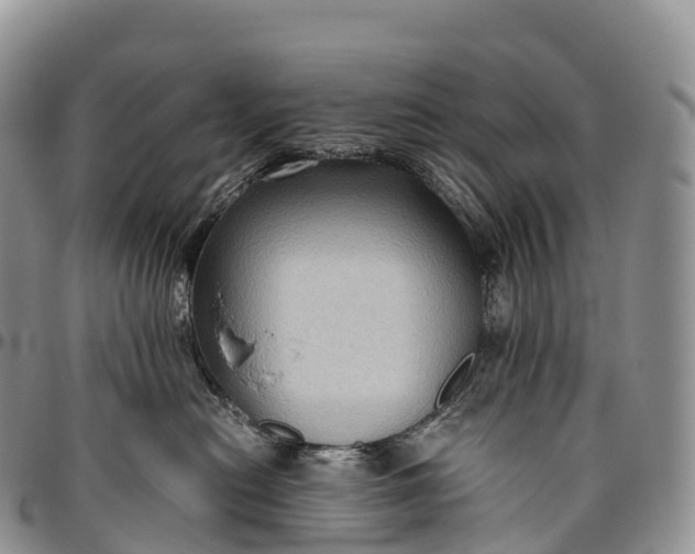 X0000094800478200711301543
