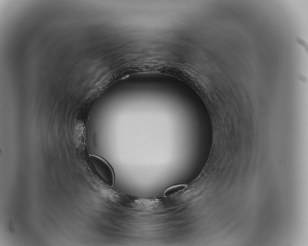 X0000094800480200711301543